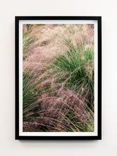 Load image into Gallery viewer, Napa Dew Grasses #1
