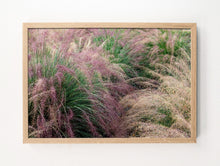 Load image into Gallery viewer, Napa Dew Grasses #2
