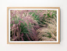 Load image into Gallery viewer, Napa Dew Grasses #2
