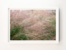 Load image into Gallery viewer, Napa Dew Grasses #3
