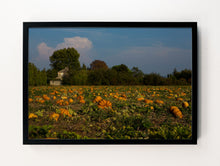 Load image into Gallery viewer, Pumpkin Patch, Aixen Provence
