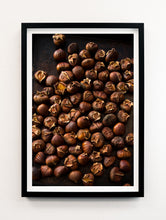 Load image into Gallery viewer, Roasted Chestnuts #1
