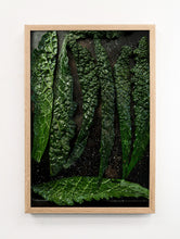 Load image into Gallery viewer, Roasted Kale
