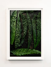 Load image into Gallery viewer, Roasted Kale
