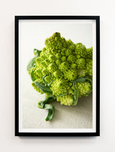 Load image into Gallery viewer, Romanesco Cauliflower Portrait
