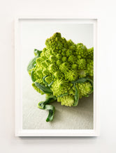Load image into Gallery viewer, Romanesco Cauliflower Portrait
