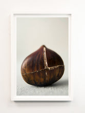 Load image into Gallery viewer, Scored Chestnut Portrait
