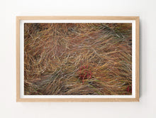Load image into Gallery viewer, Sea Beans in Marsh Grass
