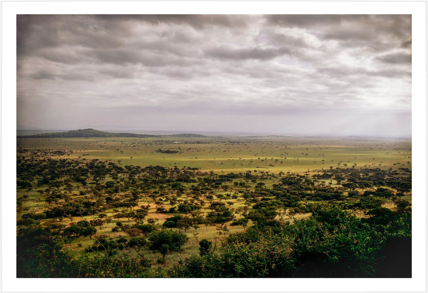 Serengeti View #2