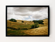 Load image into Gallery viewer, Sonoma Rolling Field
