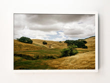 Load image into Gallery viewer, Sonoma Rolling Field
