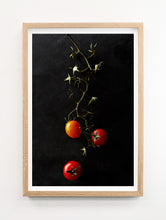 Load image into Gallery viewer, Three Tomatoes
