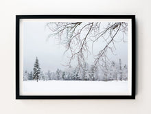 Load image into Gallery viewer, Winter Quiet #1
