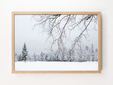 Load image into Gallery viewer, Winter Quiet #1
