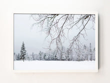 Load image into Gallery viewer, Winter Quiet #1
