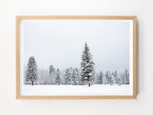 Load image into Gallery viewer, Winter Quiet #2
