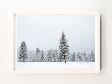 Load image into Gallery viewer, Winter Quiet #2
