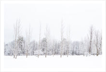 Load image into Gallery viewer, Winter Quiet #3
