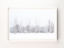 Load image into Gallery viewer, Winter Quiet #3
